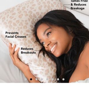 Kitsch  Standard Satin Pillow Case